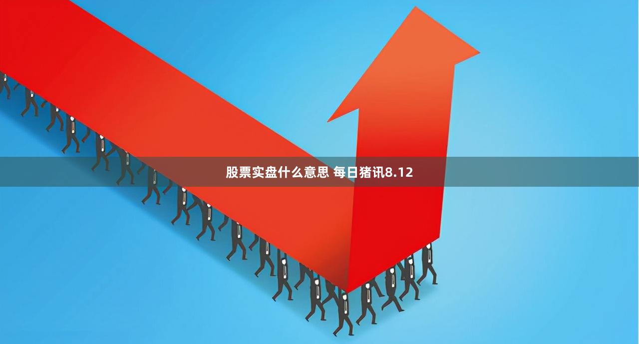 股票实盘什么意思 每日猪讯8.12