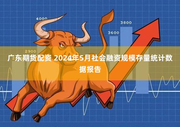 广东期货配资 2024年5月社会融资规模存量统计数据报告