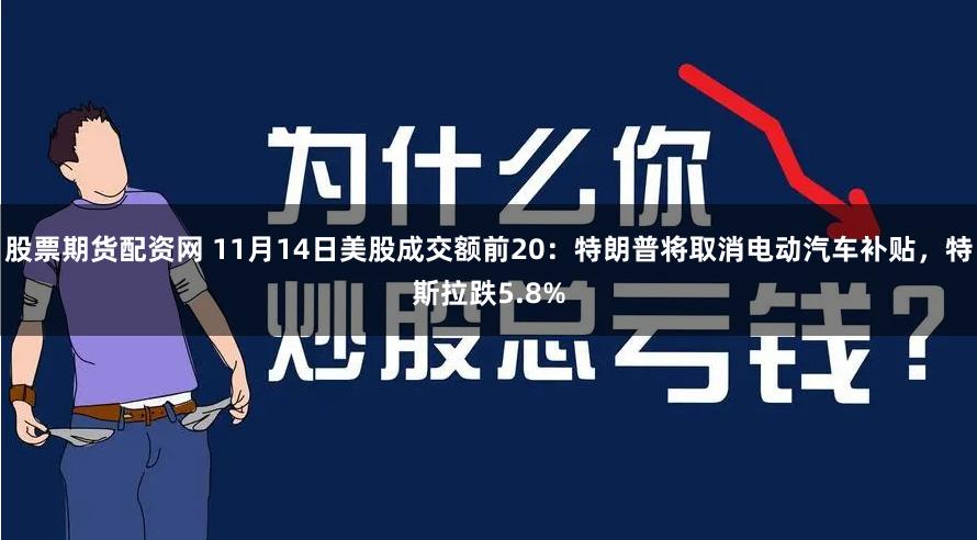 股票期货配资网 11月14日美股成交额前20：特朗普将取消电动汽车补贴，特斯拉跌5.8%