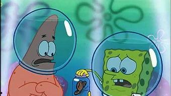 吃瓜娱乐如果星星不说话,揭秘“如果星星不说话”的神秘魅力